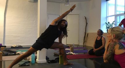 Yogalove.dk anmeldelse af The Health of the Back